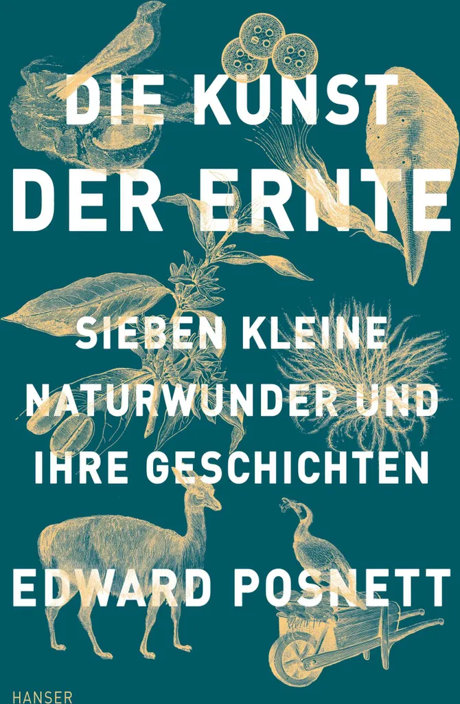 Outil de cueillette ergonomique Die Kunst der Ernte en acier forgé