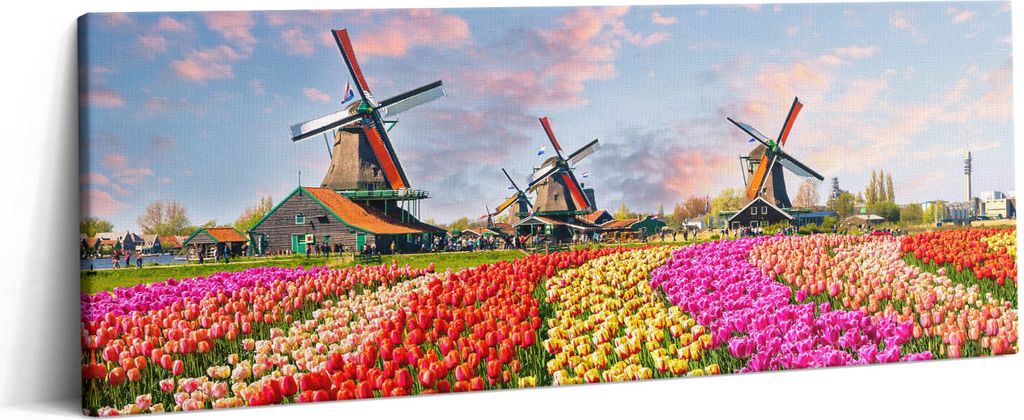 Landschaft mit Tulpen Niederlande – Leinwandbild Wandbild – 125x50 cm – Leinwandbilder – Wandbilder – Schlafzimmer – Flur