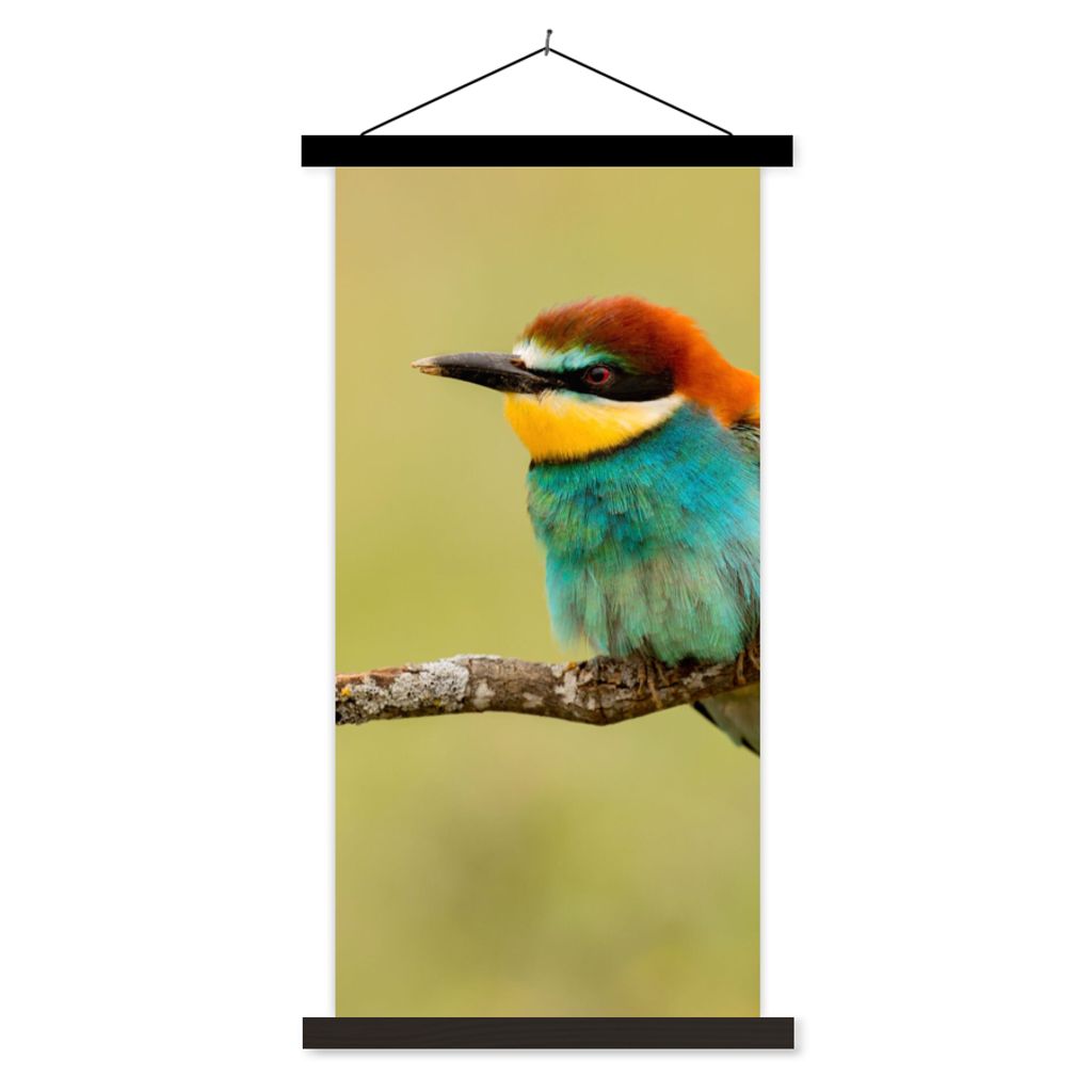 MuchoWow Textilposter Vogel - Bienenfresser - Tiere 40x80 cm mit schwarzem Rahmen - Wandemalerei