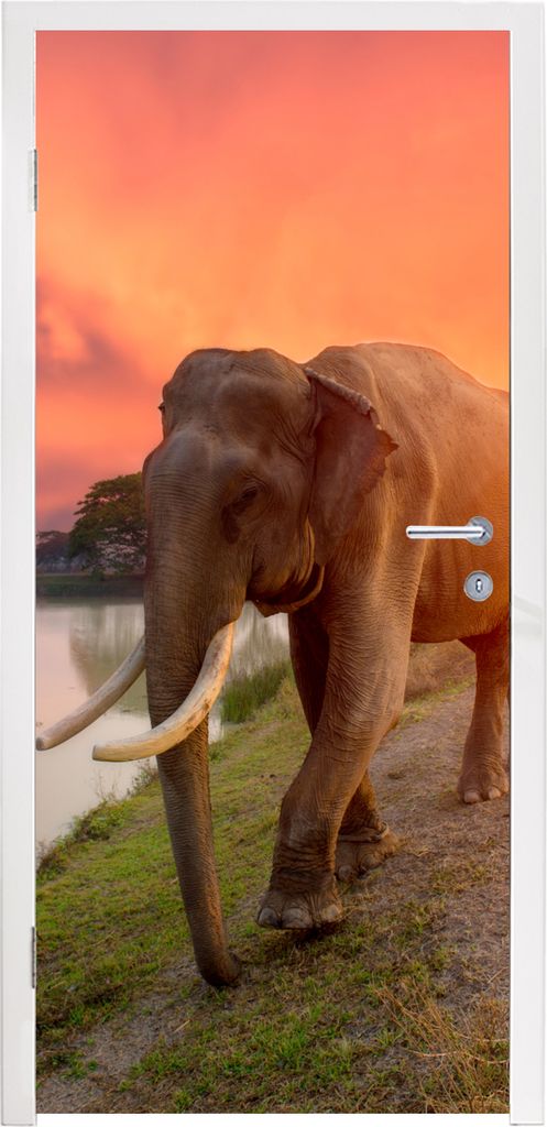 MuchoWow Türtapete Selbstklebende Türfolie Elefant geht auf den See zu 75x205 cm Türposter Türaufkleber Klebefolie Türklebefolie - XXL-Aufkl...