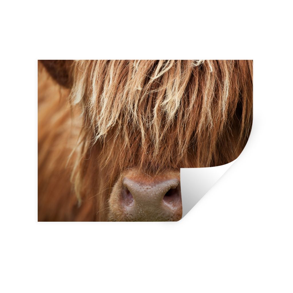 MuchoWow Wandtattoo Wandsticker Wandaufkleber Schottischer Highlander - Nase - Haare 160x120 cm Selbstklebend und Repositionierbar - Selbstkleben...