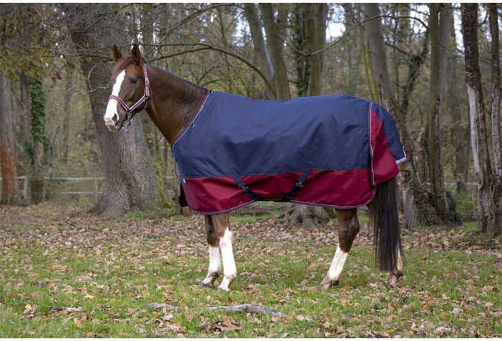 Equithème Tyrex 1200D Turnout 0g - marineblau/bordeauxrot Produktbild 