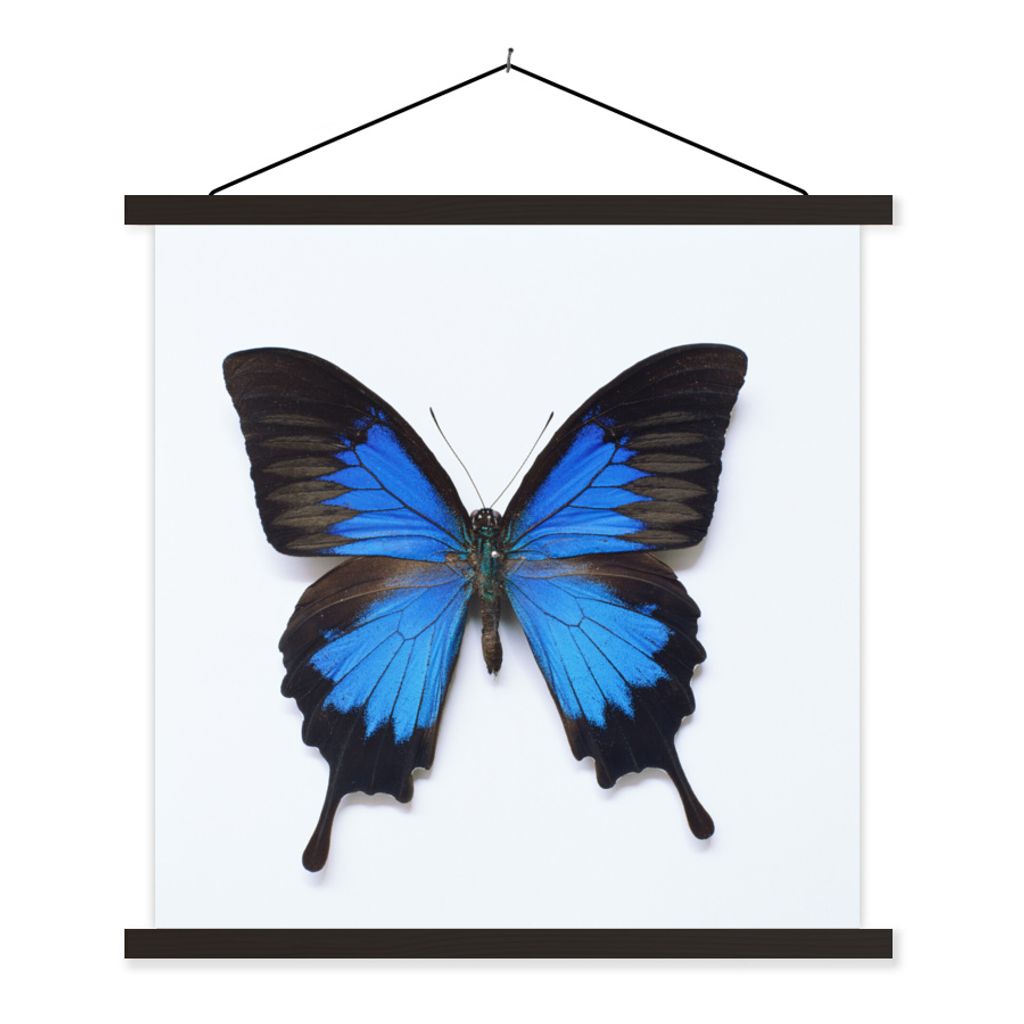MuchoWow Textilposter Schmetterling - Insekten - Blau 120x120 cm mit schwarzem Rahmen - Aufhängungsset