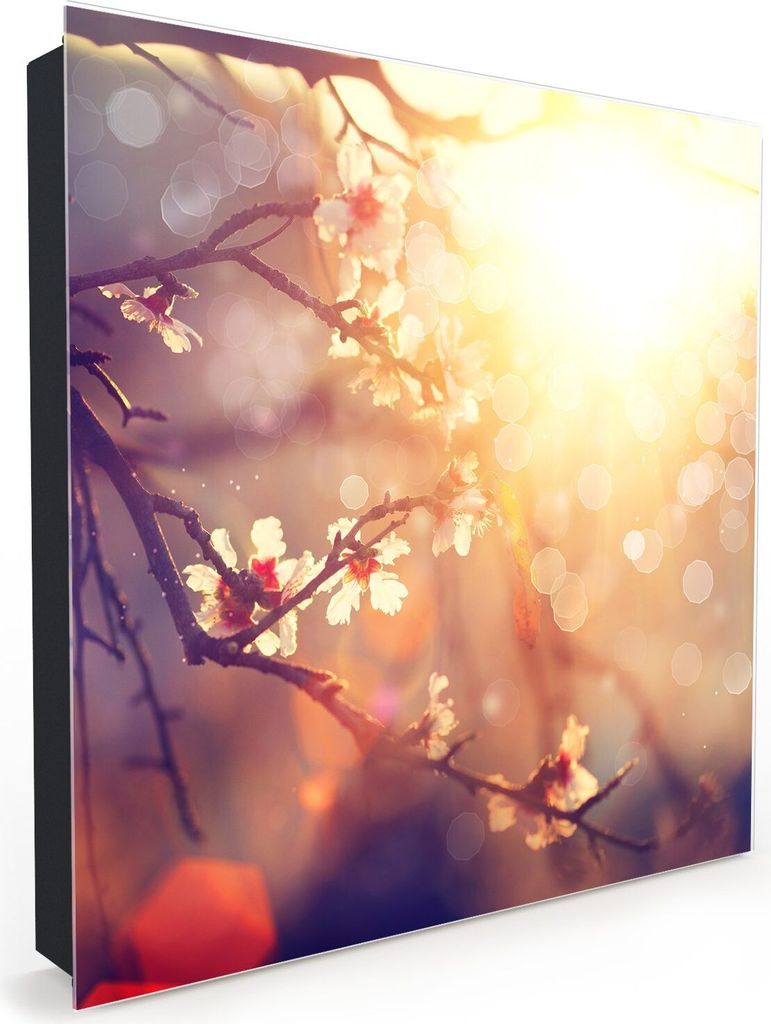 Nachbildung-Schlüsselkasten, Magnetpinnwand und Memoboard mit Glasfront Motiv Frühling in der Sonne