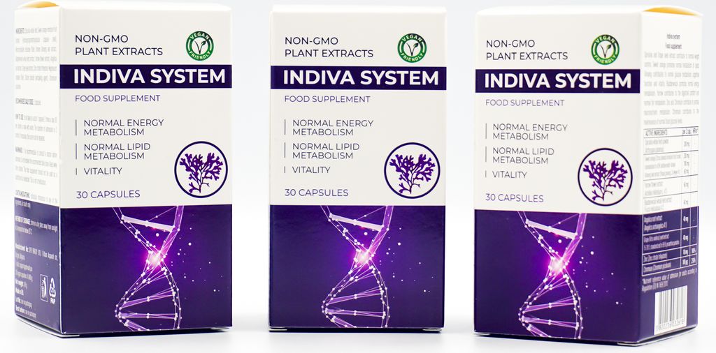 Nahrungsergänzungsmittel SET 3x30 kapseln Indiva System Produktbild 