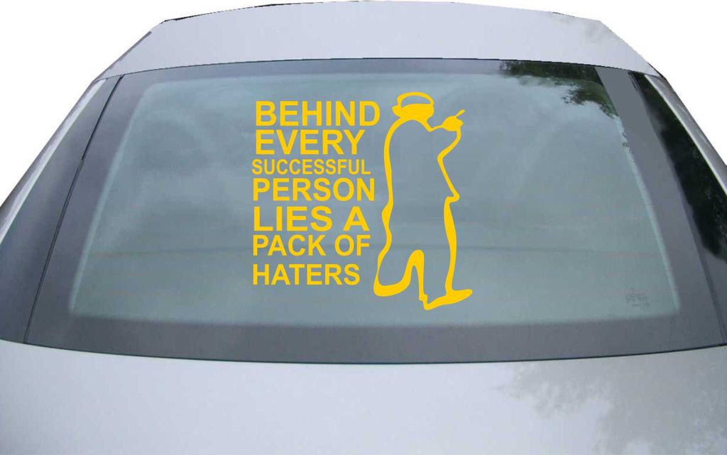 Indigos UG - Aufkleber Heckscheibe & Motorklappe DE6015 - gold - 600x328 mm - behind every Successful person Lies a pack of haters - Auto Scheiben ...