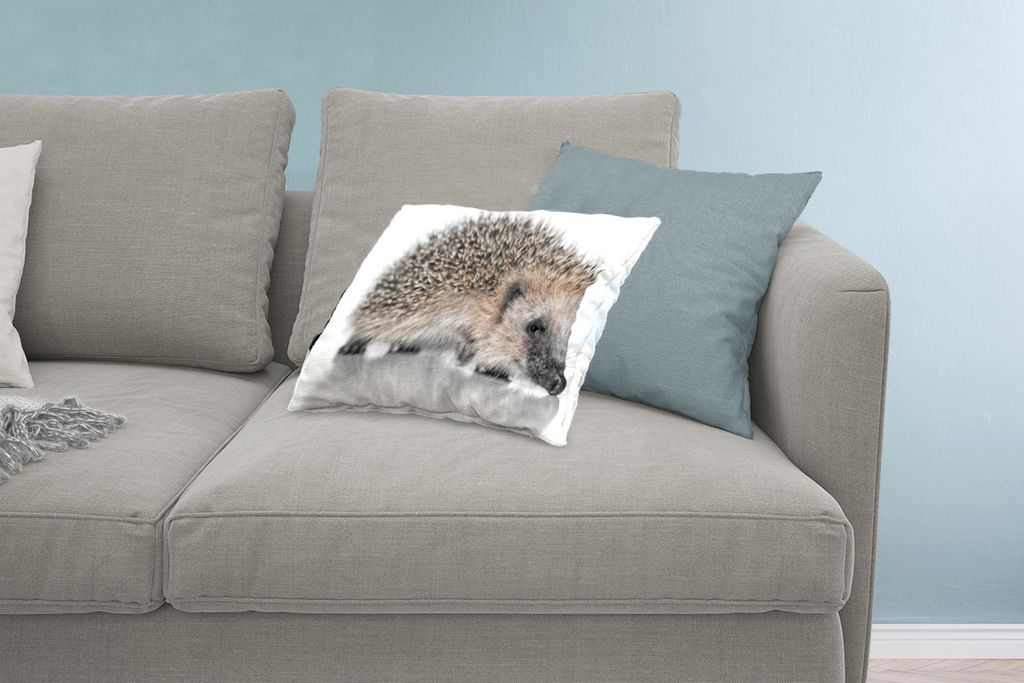 MuchoWow Zierkissen Sofakissen Wohnzimmer Dekokissen 60x40 cm Igel auf weißem Hintergrund - Kopfkissen - Polster mit Foto