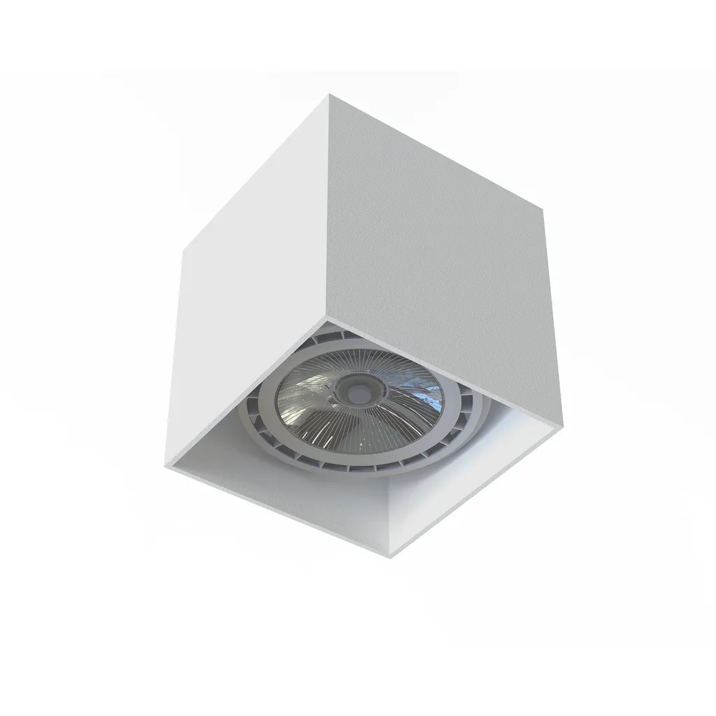 Spot Plafond Blanc pour Remplacer Vieux Luminaires COBBLE ES111 75W IP20