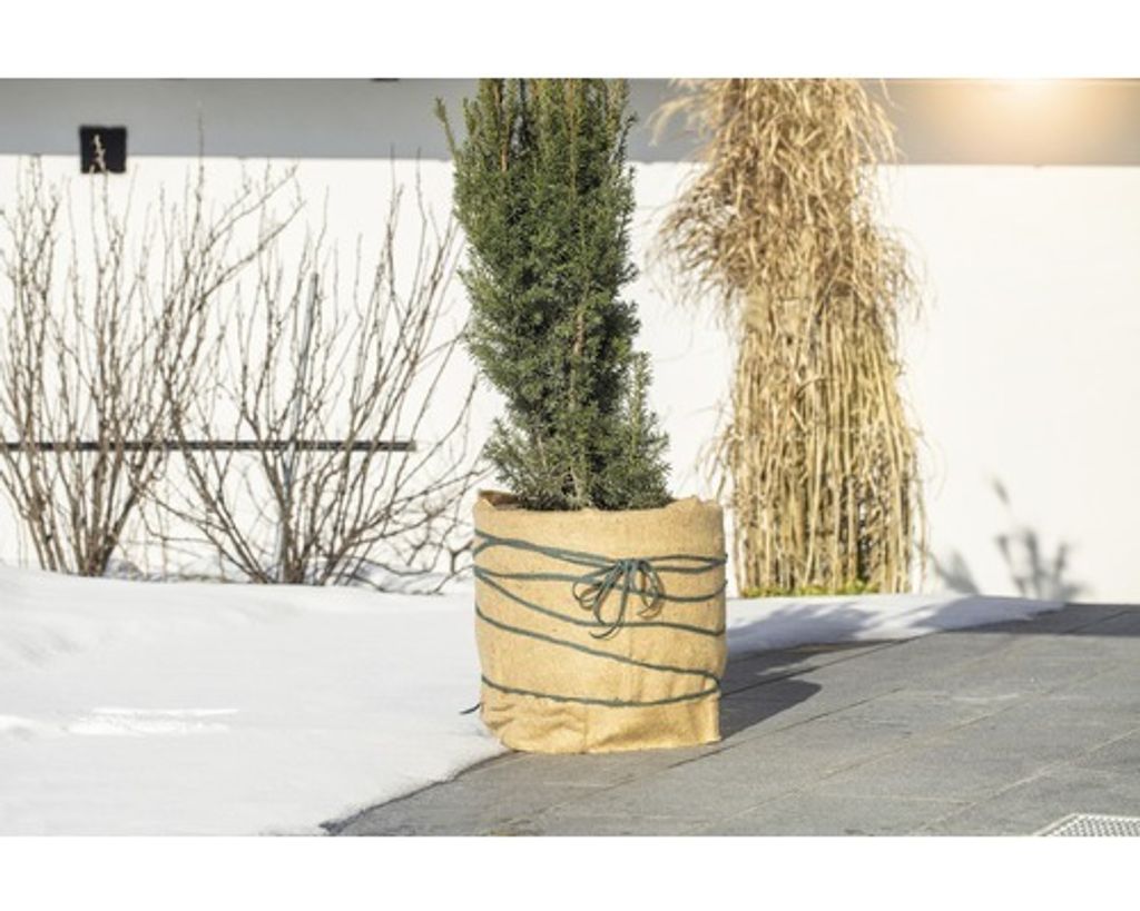 FloraSelf Winterschutz-Vliesmatte 1.5x0.38 m natur 300g/m2