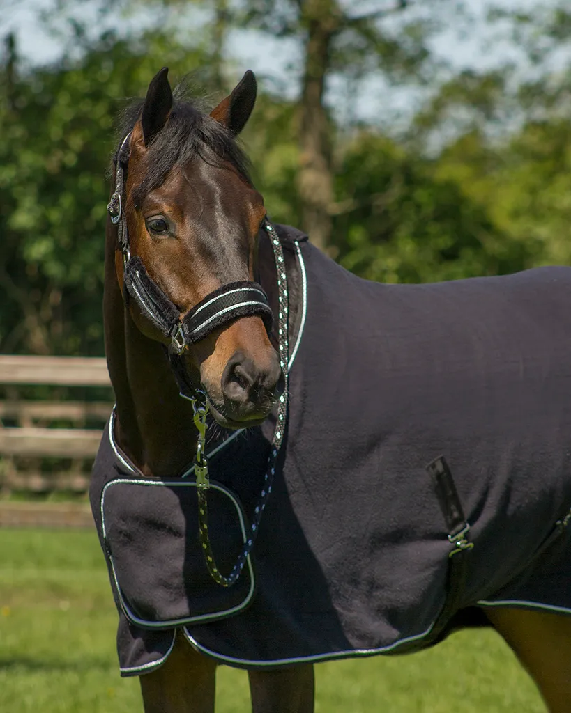 Licol pour poney noir et argent Dolci - Ensemble complet avec longe - 3