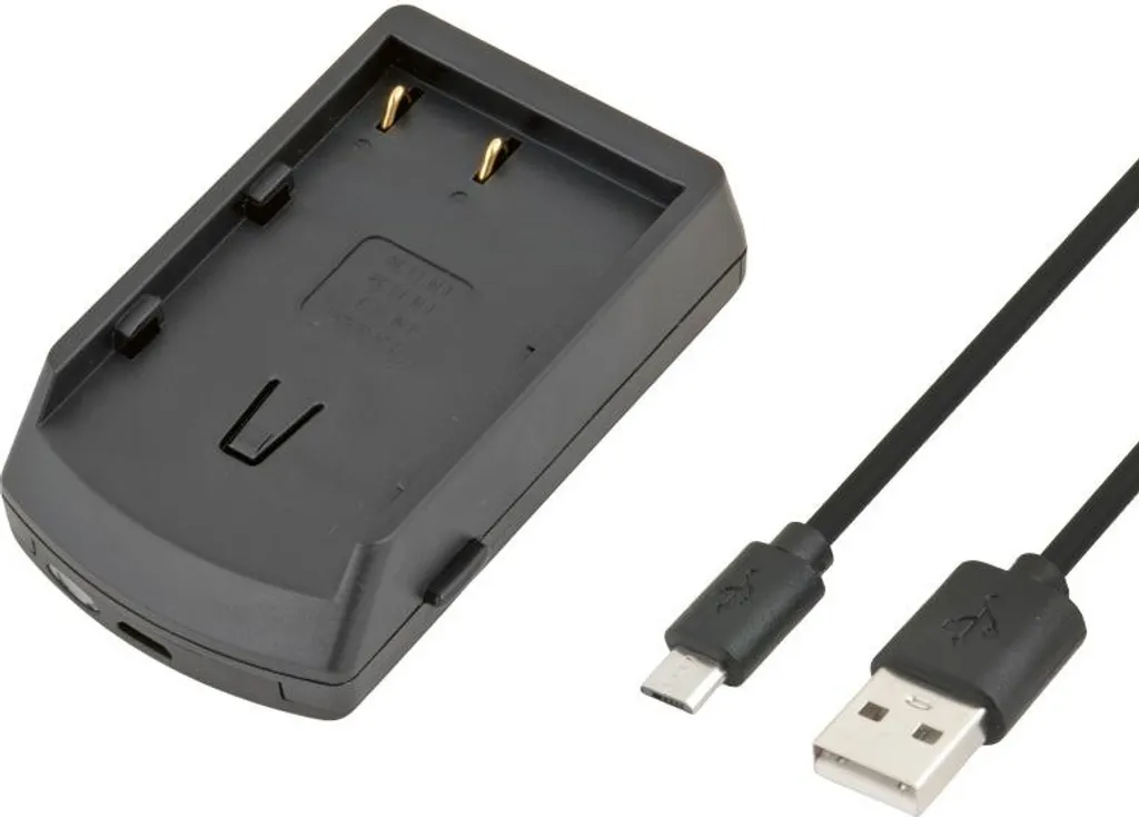 Chargeur Voyage USB pour Nikon D90 D300 D700 et Fujifilm NP-150