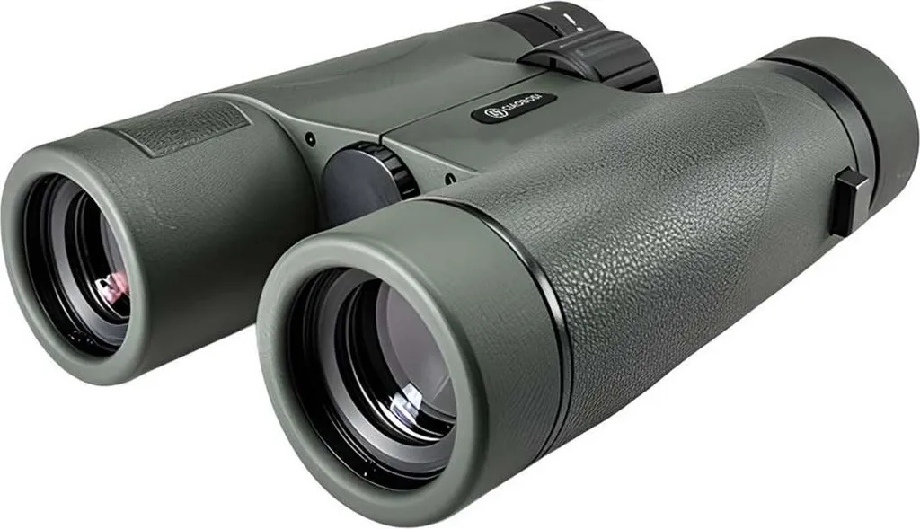 Jumelles 10x42 Avizar pour Observation Oiseaux et Faune Sauvage HD