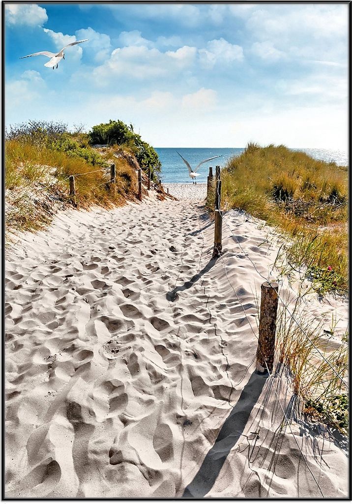 Wallario Wandbild Möwen auf dem Weg zum Strand, Größe: 70,30 x 100,30 cm, Poster mit schwarzem Aluminiumrahmen