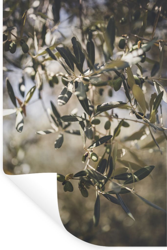 MuchoWow - Wierderverwendbar - Selbstklebend