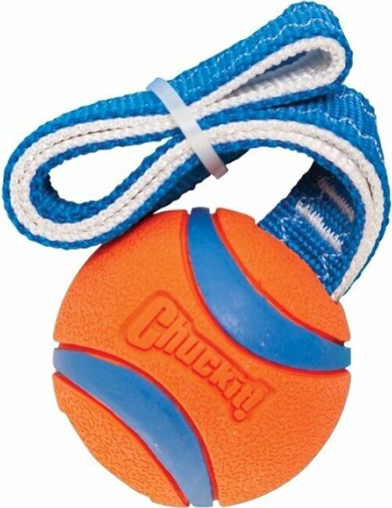 Chuckit Ultra Tug Obrázek produktu 