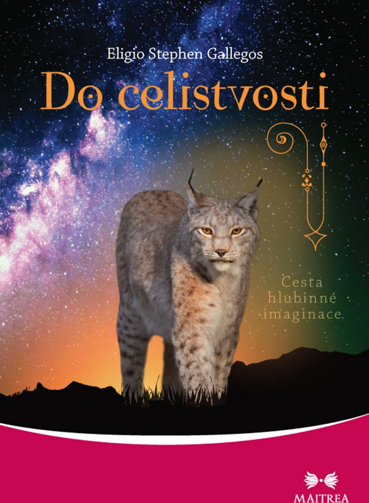 Do celistvosti - Cesta hlubinné imaginace (Gallegos Eligio Stephen)