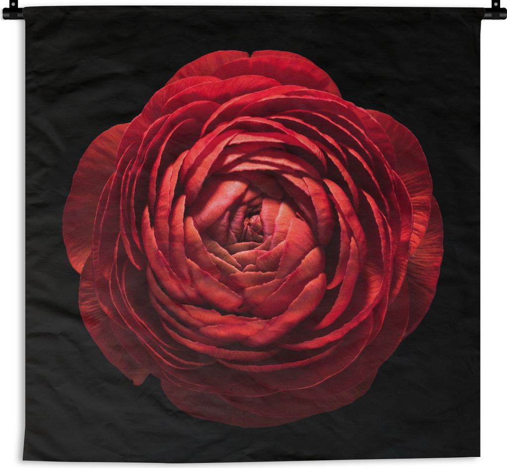 MuchoWow Wandteppich Wandbehang Eine Nahaufnahme einer roten Butterblume auf schwarzem Hintergrund 150x150 cm Tapisserie Dekoration Wandtuch - Wo...
