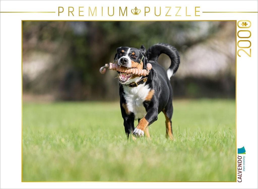 CALVENDO Puzzle Volle Kraft voraus | 2000 Teile Lege-Größe 90x67cm Foto-Puzzle für glückliche Stunden