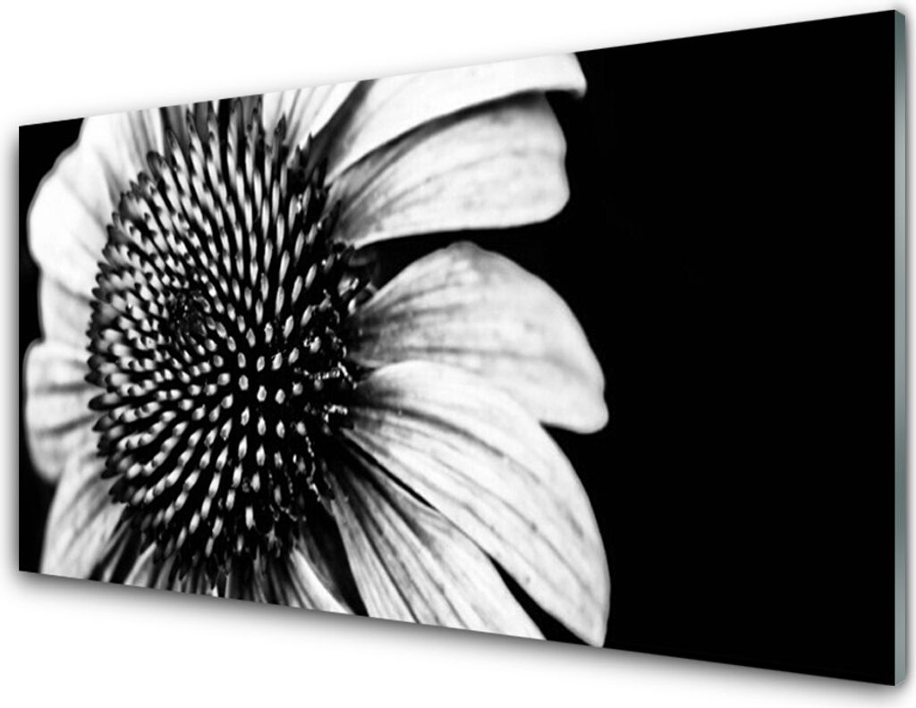 Küchenrückwand aus Glas 100x50cm Spritzschutz Blume Pflanzen