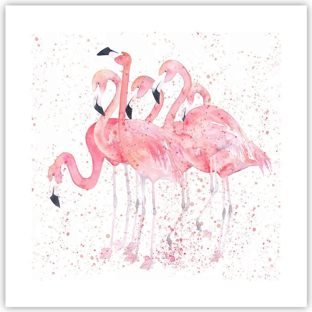 Poster - Poster ohne Rahmen - Flamingo Vogel Wasser - 40x40 cm - Wand Bild - Wanddeko - Wandbilder - Kunstposter - Wandposter - Bilder - Kunstdruck...