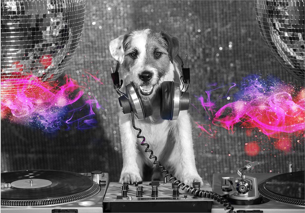 Vlies Fototapete Tiere 450x315 cm Tapeten Wandtapete XXL DJ Hund Haustiere Abstrakt Musik Puppy g-C-0292-a-a