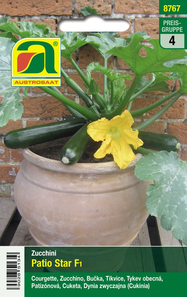 TopfZucchini Patio Star F1 Zucchinisamen Kaufland.de