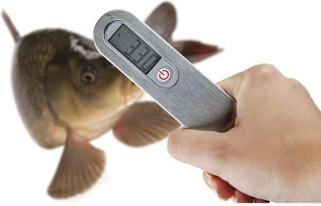 EMOS Cyfrowa waga wisząca EV020 Zdjęcie produktu 20