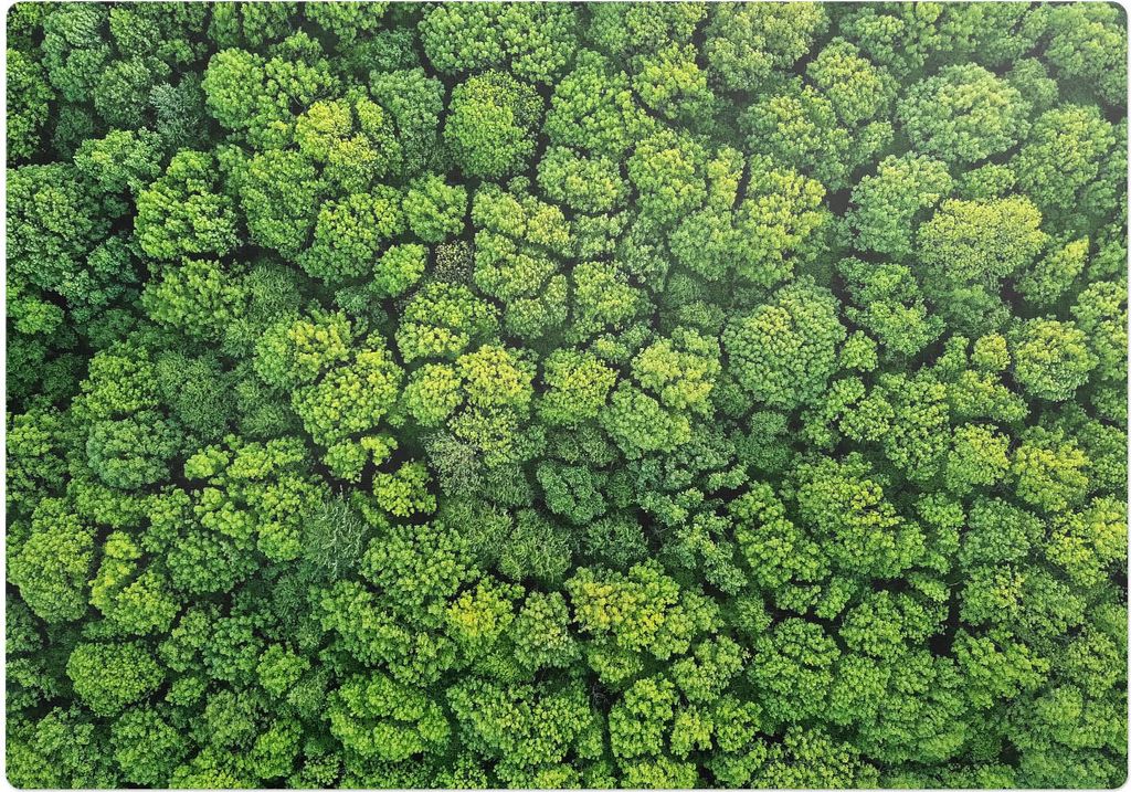 Waldmosaik Aus Bäumen – Bodenschutzmatte – Rutschfest – Schutzmatte für Büro – Vinylmatte – Stuhlunterlage – 100 x 100 cm