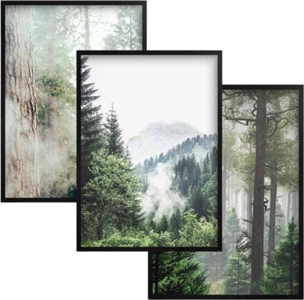 Poster 50x70 für das Wohnzimmer oder Büro Bilder in schwarzem Rahmen für die Wand Bäume Wald