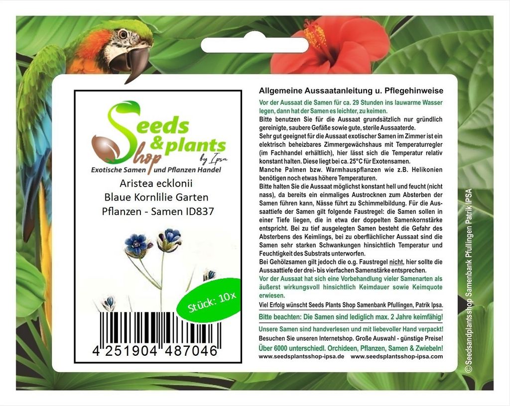 10x Aristea ecklonii Blaue Kornlilie Garten Pflanzen - Samen ID837