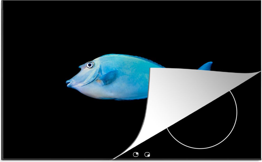 KitchenYeah Herdabdeckplatte Fische - Meerestiere - Schwarz , 81x52cm, Küche Deko, Glaskeramikfeld Herdabdeckung, Abdeckplatte fùr Kochfeld