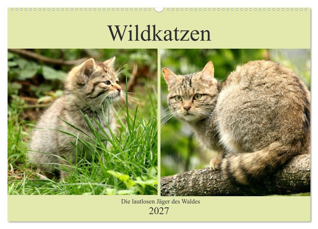 Wildkatzen - Die lautlosen Jäger des Waldes (Wandkalender 2027 DIN A2 quer), CALVENDO Monatskalender