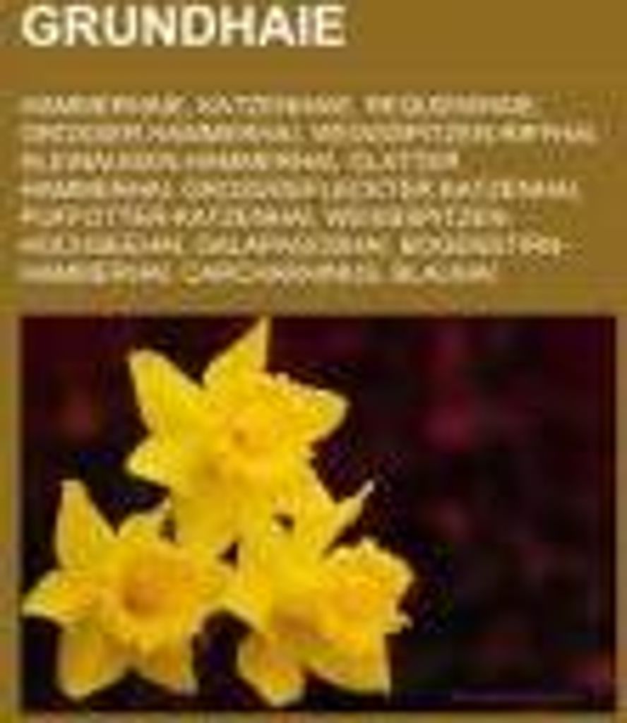 Grundhaie