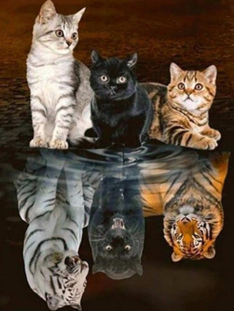 Diamond Painting Vollbild 30x40 cm mit runden steinen