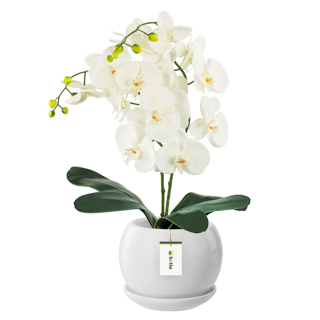 Vaso in Vetroceramica Palla con piattino bianco rotondo con Immagine del prodotto 