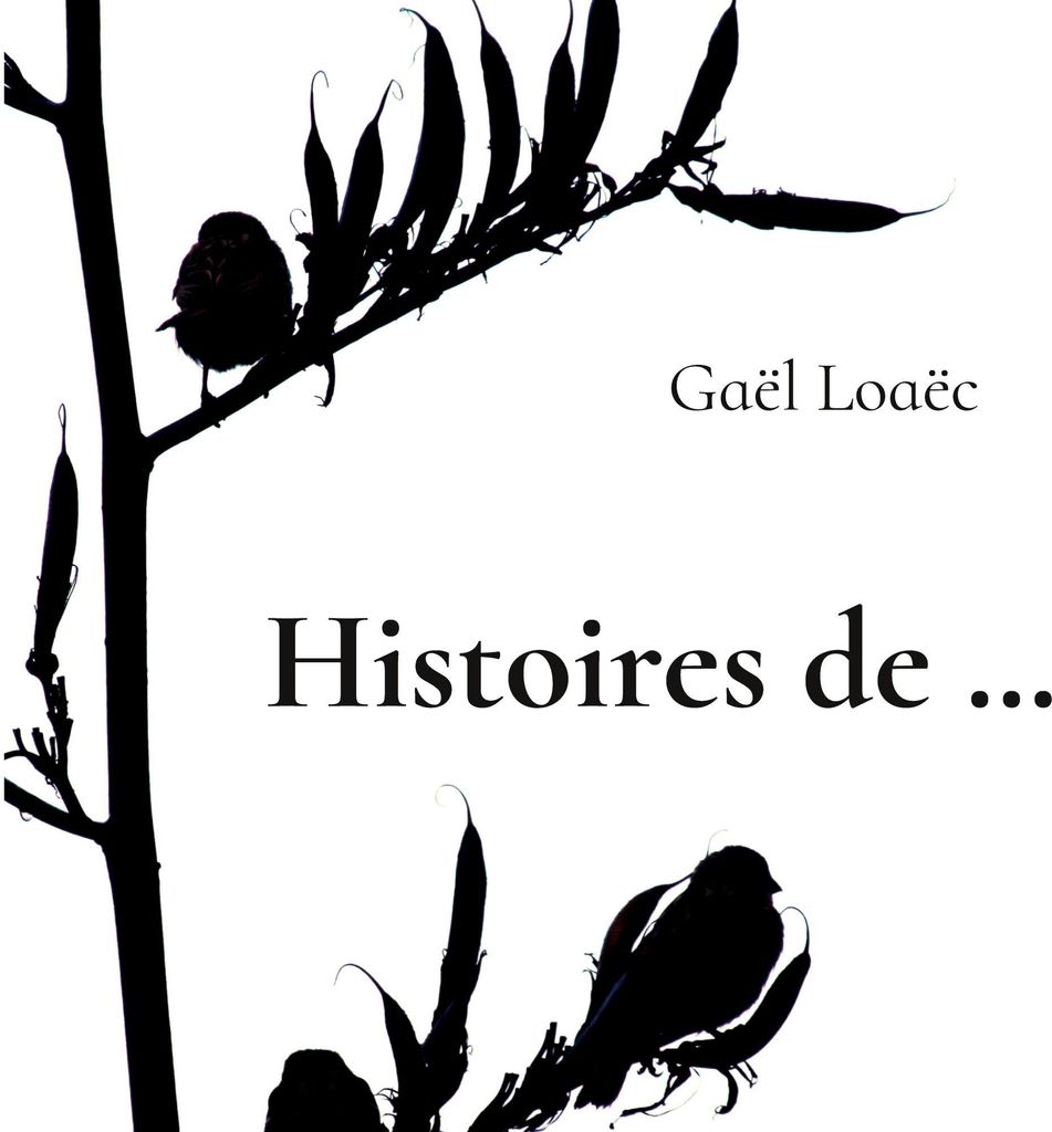 Histoires de...