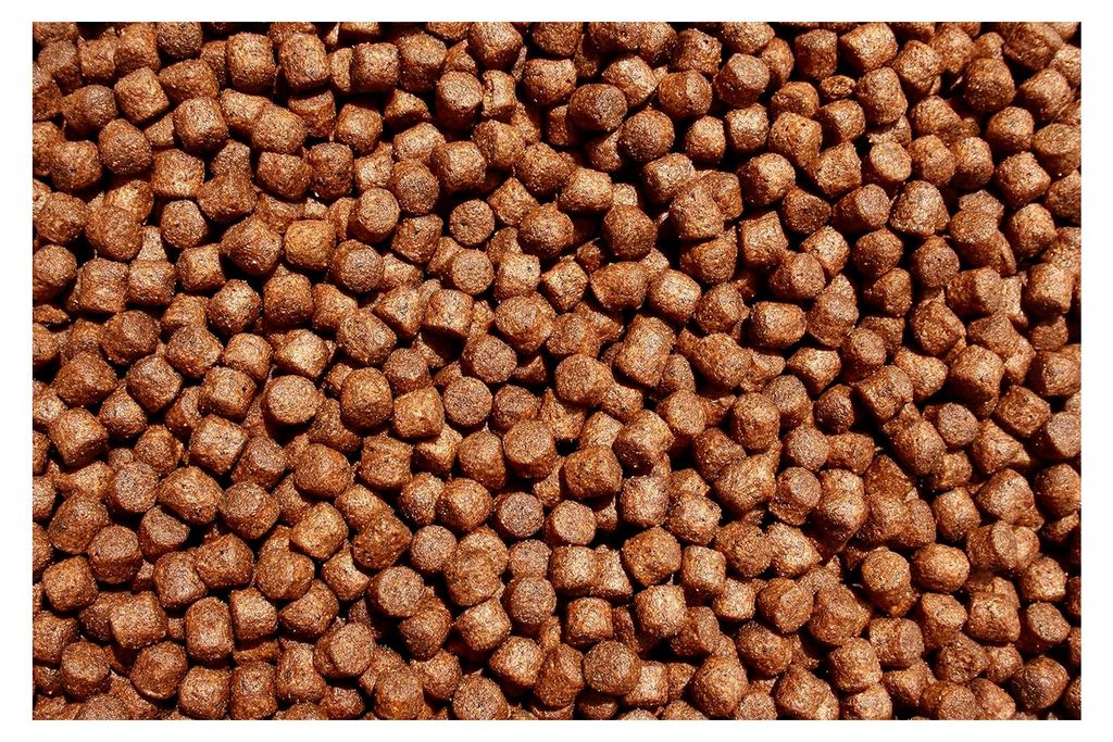 Sommerfutter, Energiefutter, Farbfutter für Koi jeden Alters für optimales Wachstum, harmonischen Körperbau und klare Farben, 6 mm schwimmende K...