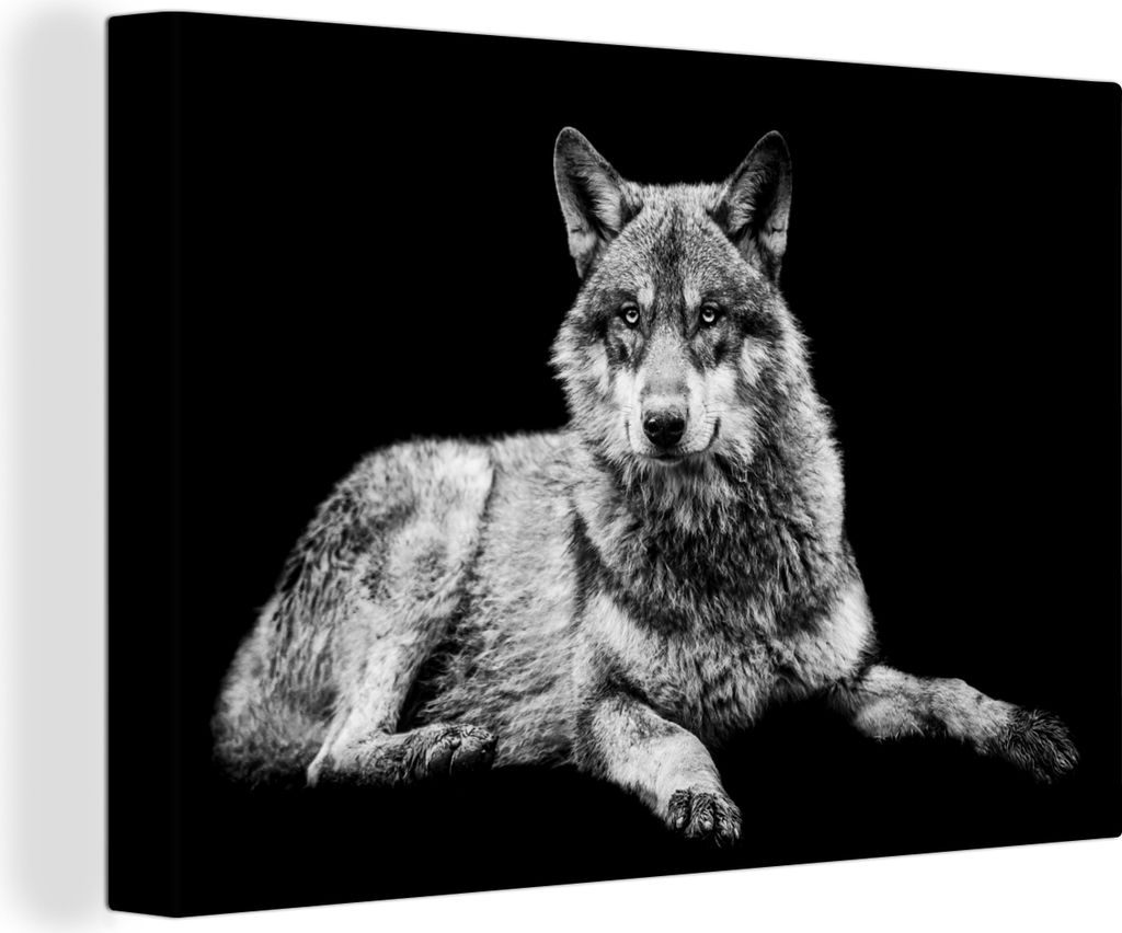 OneMillionCanvasses - Leinwandbilder - 150x100 cm, Wildlife - Wolf - Schwarz - Weiß, Wandbilder Kunstdruck Wanddekoration - Foto auf Leinwand - ...