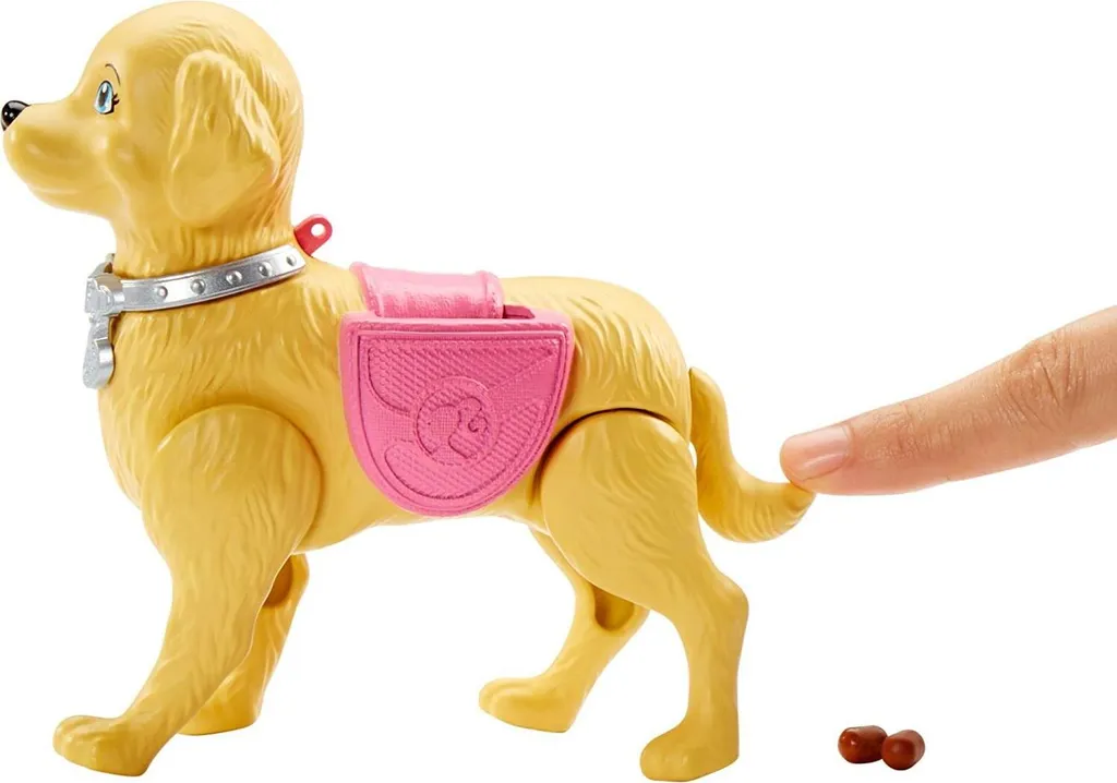 Coffret Poupée Barbie et Toutou : Jouet de Promenade pour Enfant de 3 Ans