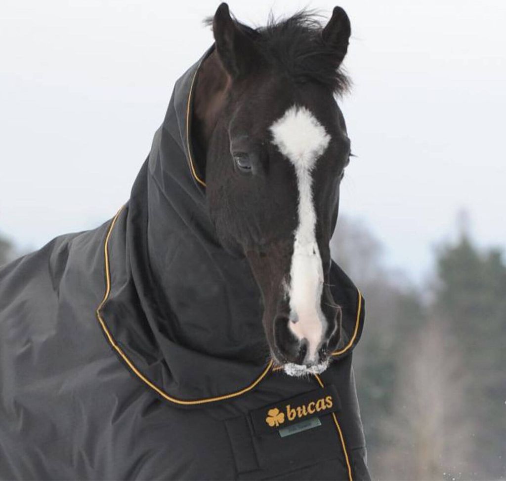 Bucas Halsteil 0g Irish Neck Black/Gold 115