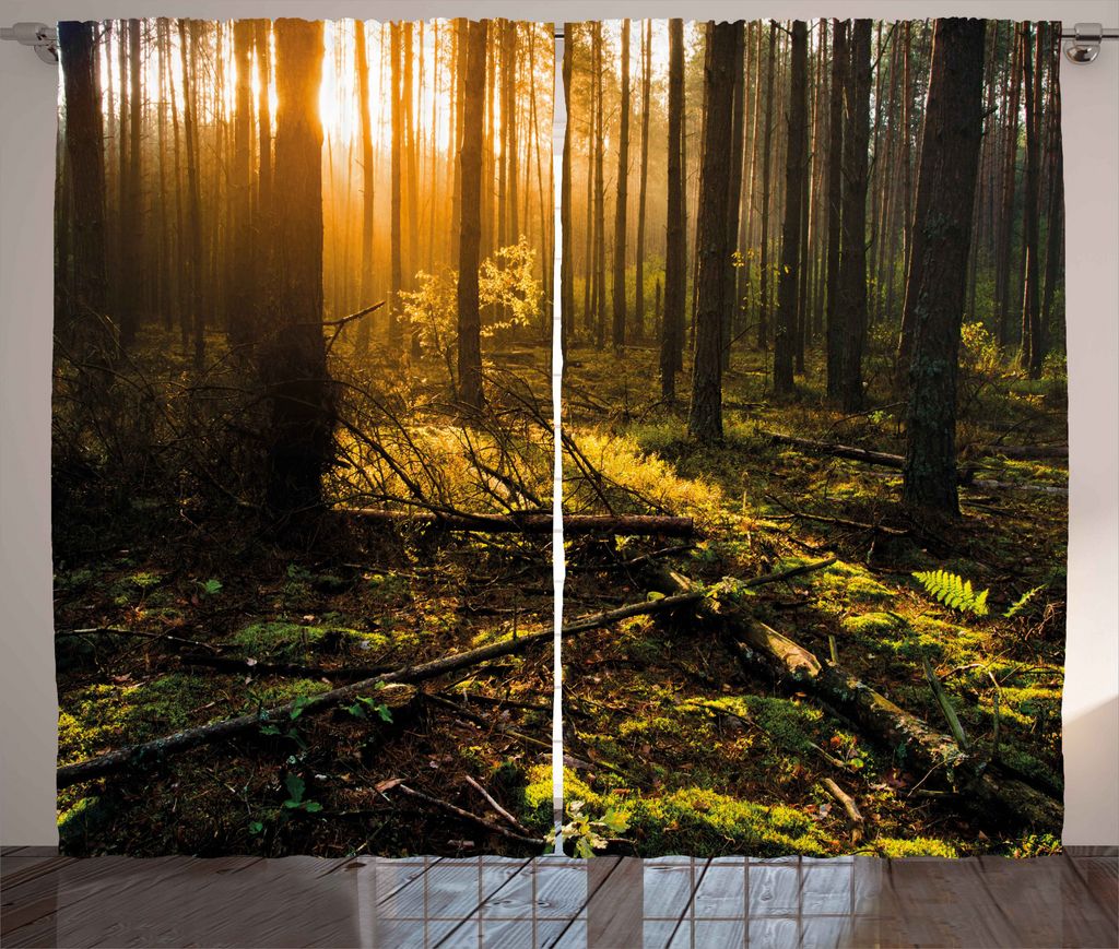 ABAKUHAUS Wald Rustikaler Vorhang, Misty Morning Sun Strahlen, Wohnzimmer Universalband Gardinen mit Schlaufen und Haken, 280 x 225 cm, Farngrün B...