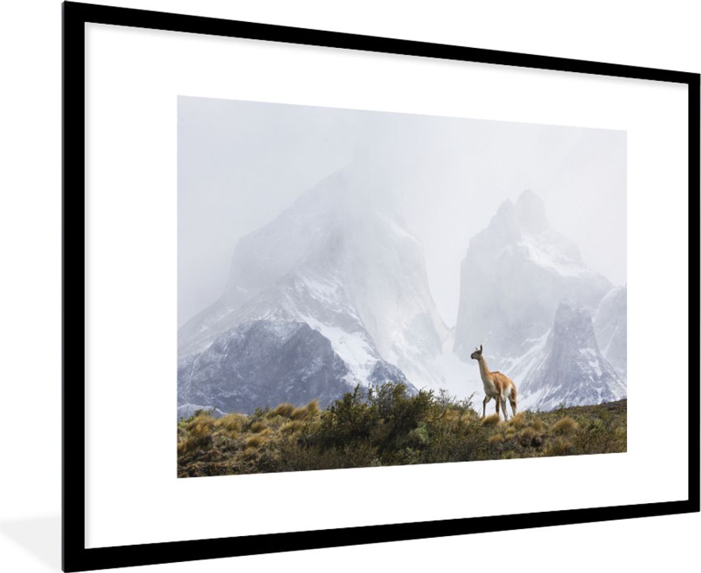MuchoWow MuchoWow Gerahmtes Poster Lama - Schnee - Berge 90x60 cm - Poster mit zchwarzem Bilderrahmen - Wanddekoration - Fotos