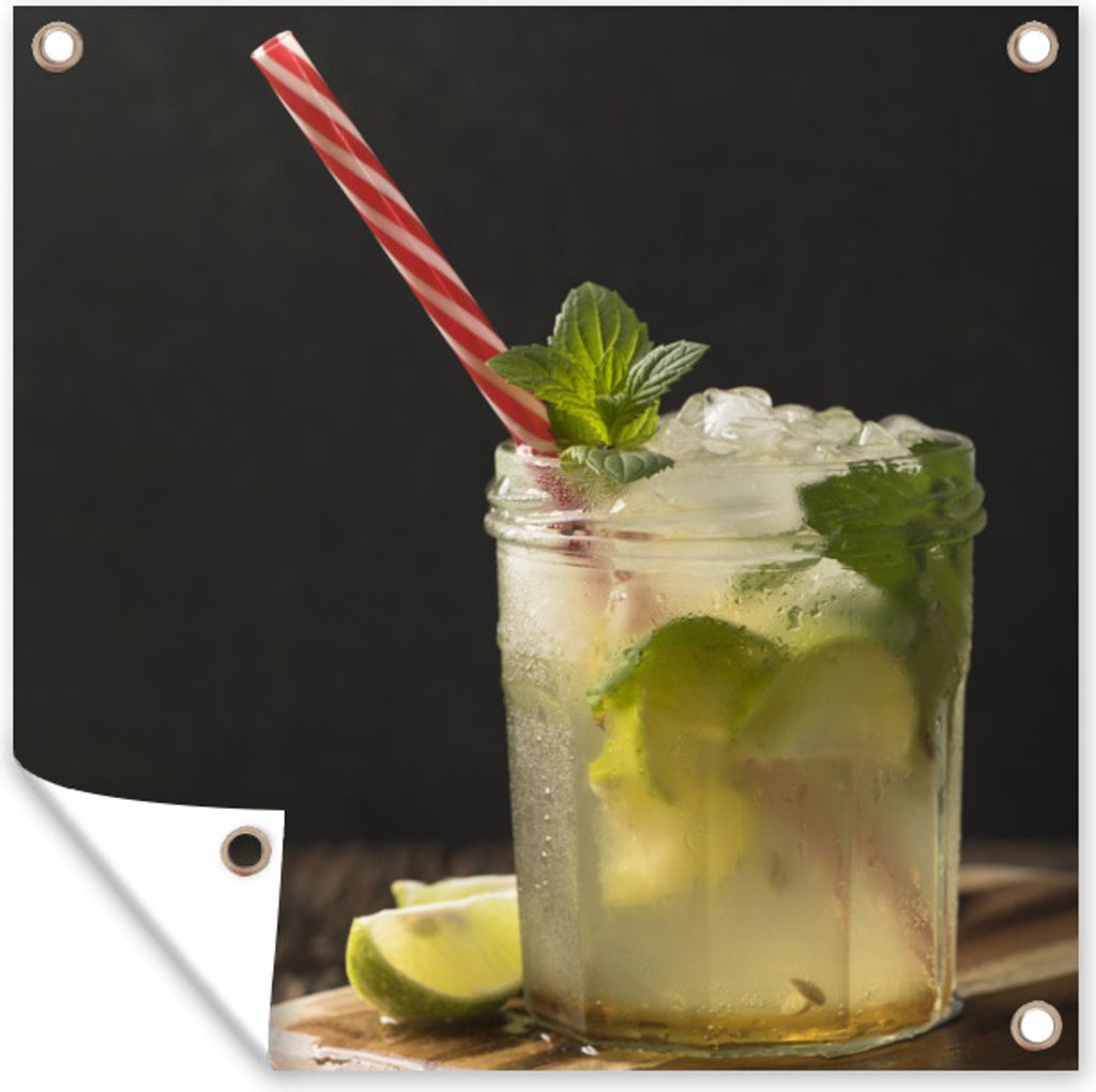 MuchoWow 100x100 cm Outdoor-Poster Gartendeko Sichtschutz Garten Poster für den Garten Mojito mit rot-weißem Strohhalm