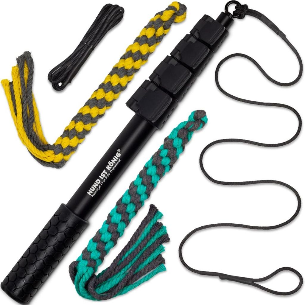 HUND IST KÖNIG Reizangel Hunde | Reizangel für Hunde für Spielspaß & körperliche Auslastung (Reizangel 151 cm + Seile 140 cm)