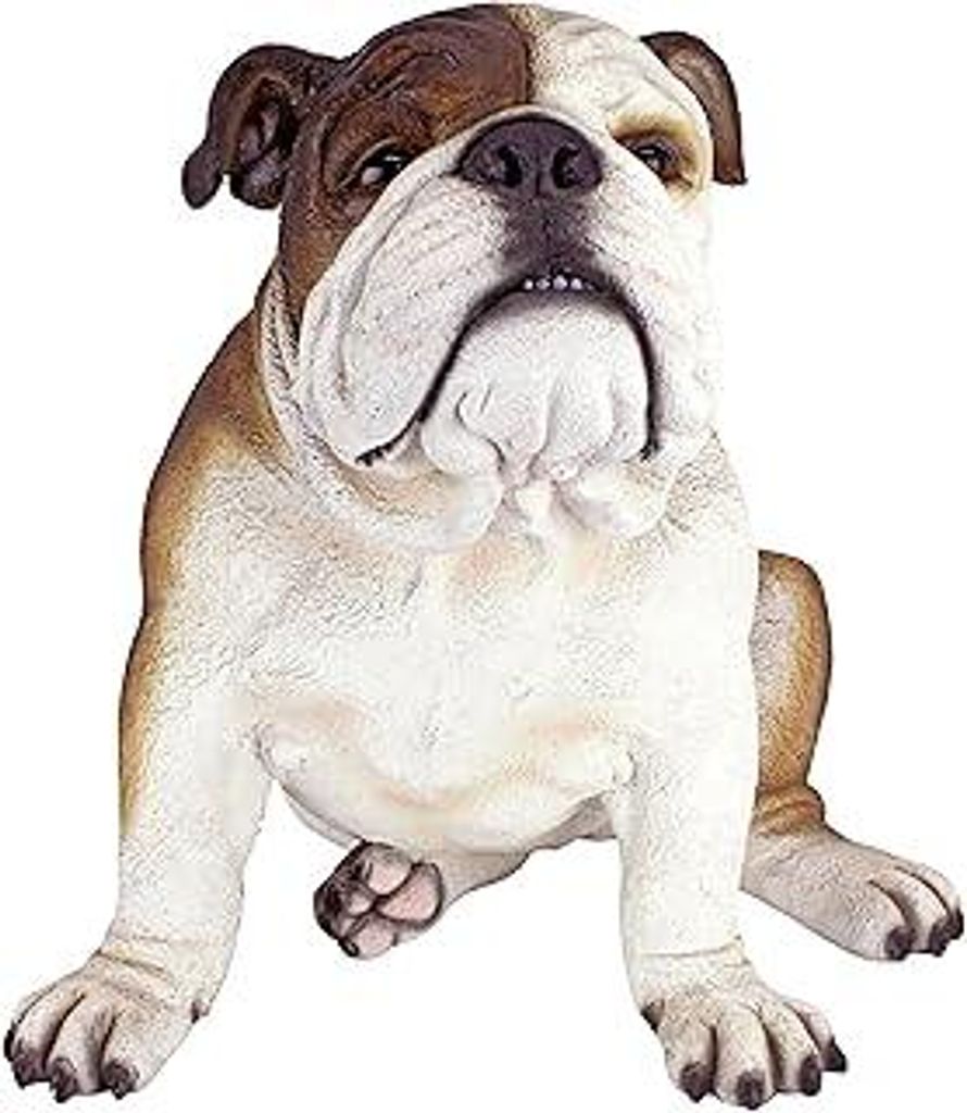 Design Toscano Buster die Bulldogge Britische Gartenstatue, Polyresin, vollfarbe, 40.5x35.5x35.5 cm