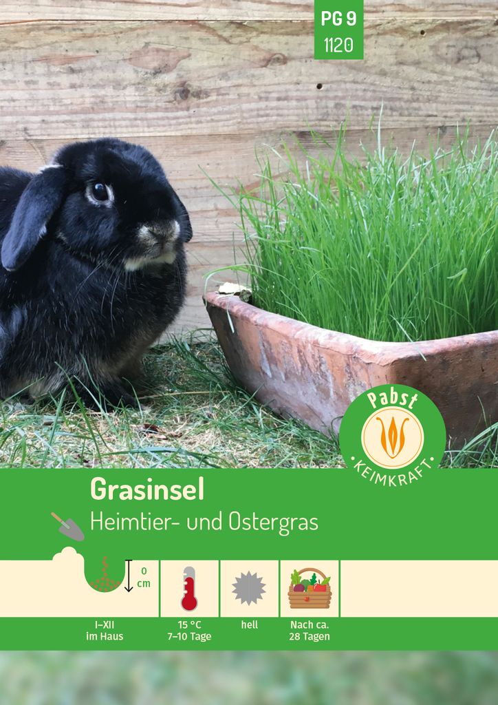 Pabst Keimkraft - Grasinsel Heimtier- und Ostergras Samen - 171120