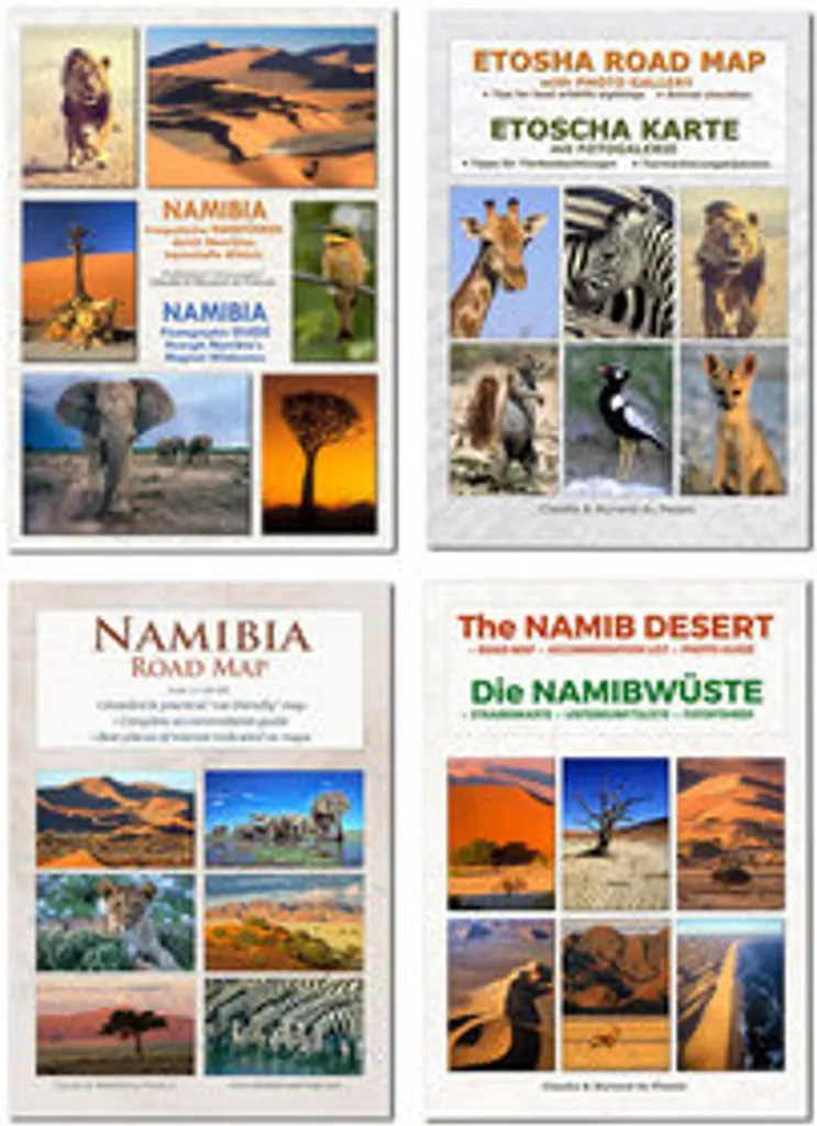 Mise à jour cartographique NAMIBIA Plus Pack complet 4 cartes SD GPS