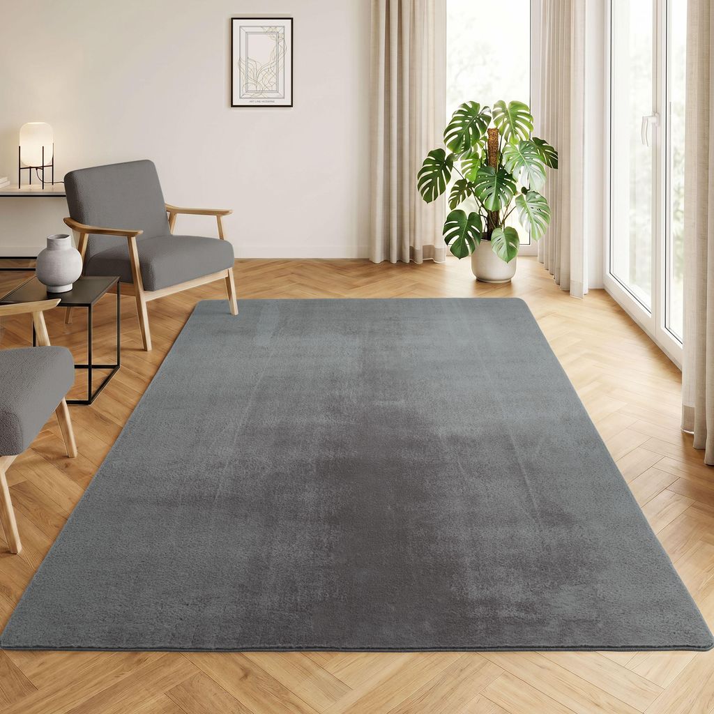 Homebyhome Tapis Lavable à Poils Courts Antidérapant et Image du produit 