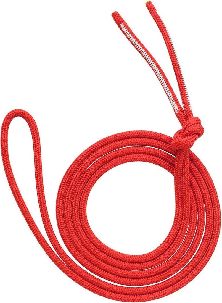 AustriAlpin DYNA.MIT Reepschnur (6mm Dyneemakern 22kN),rot 2.9m