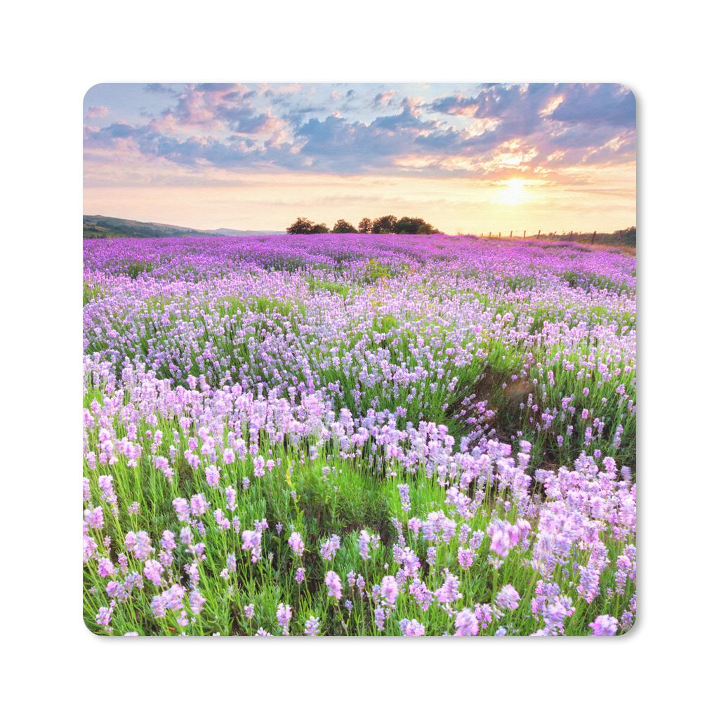 MuchoWow Mauspad Mousepad Blumen - Lavendel - Lila - Himmel - Sonnenuntergang - Wiese - Natur 30x30 cm - Mousepads - Maus Mat - Pad - Mausunterla...